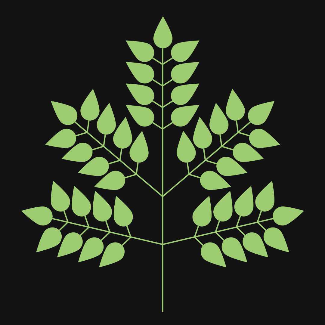 2回奇数羽状複葉