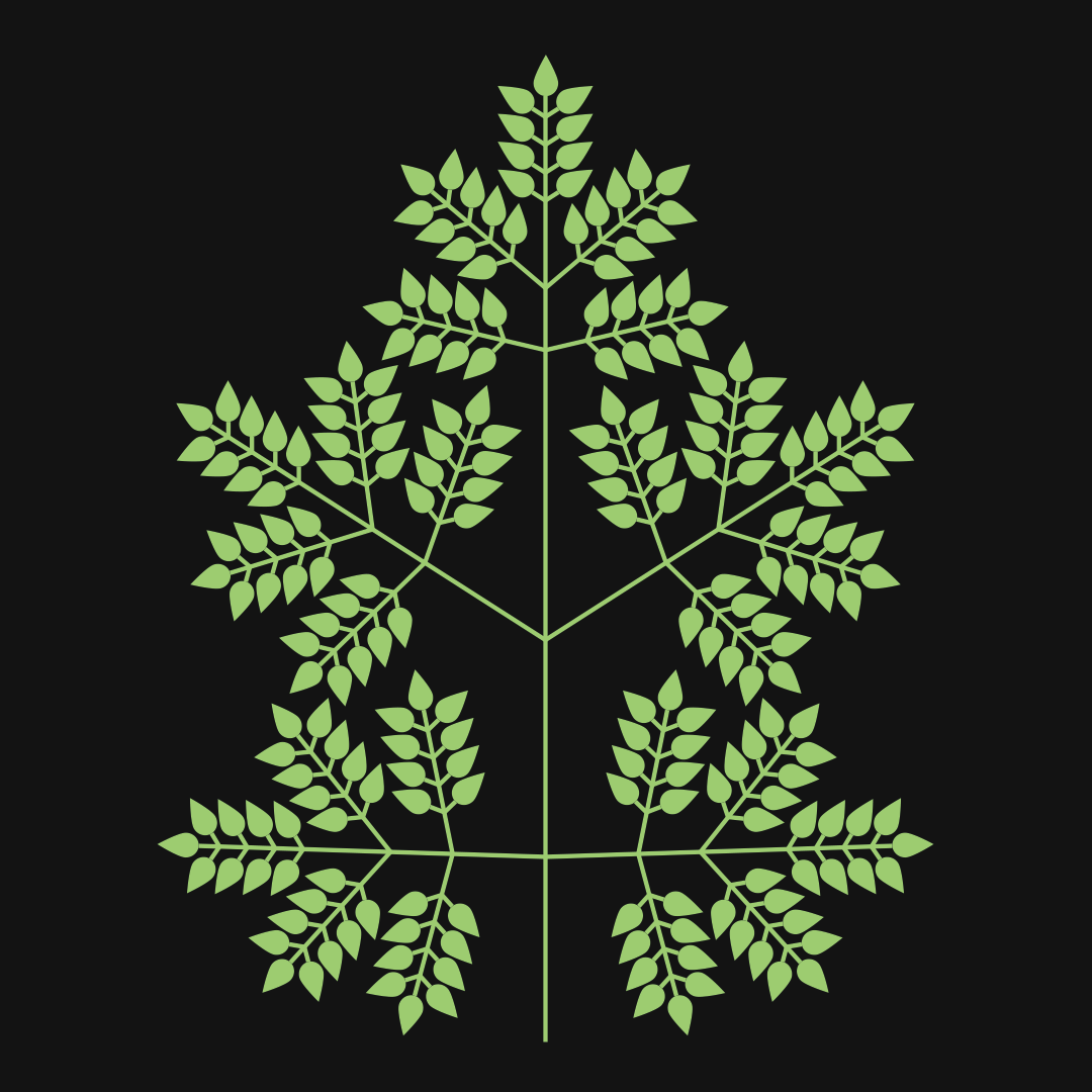 3回奇数羽状複葉