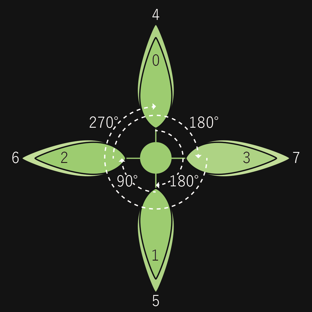 コクサギ型葉序