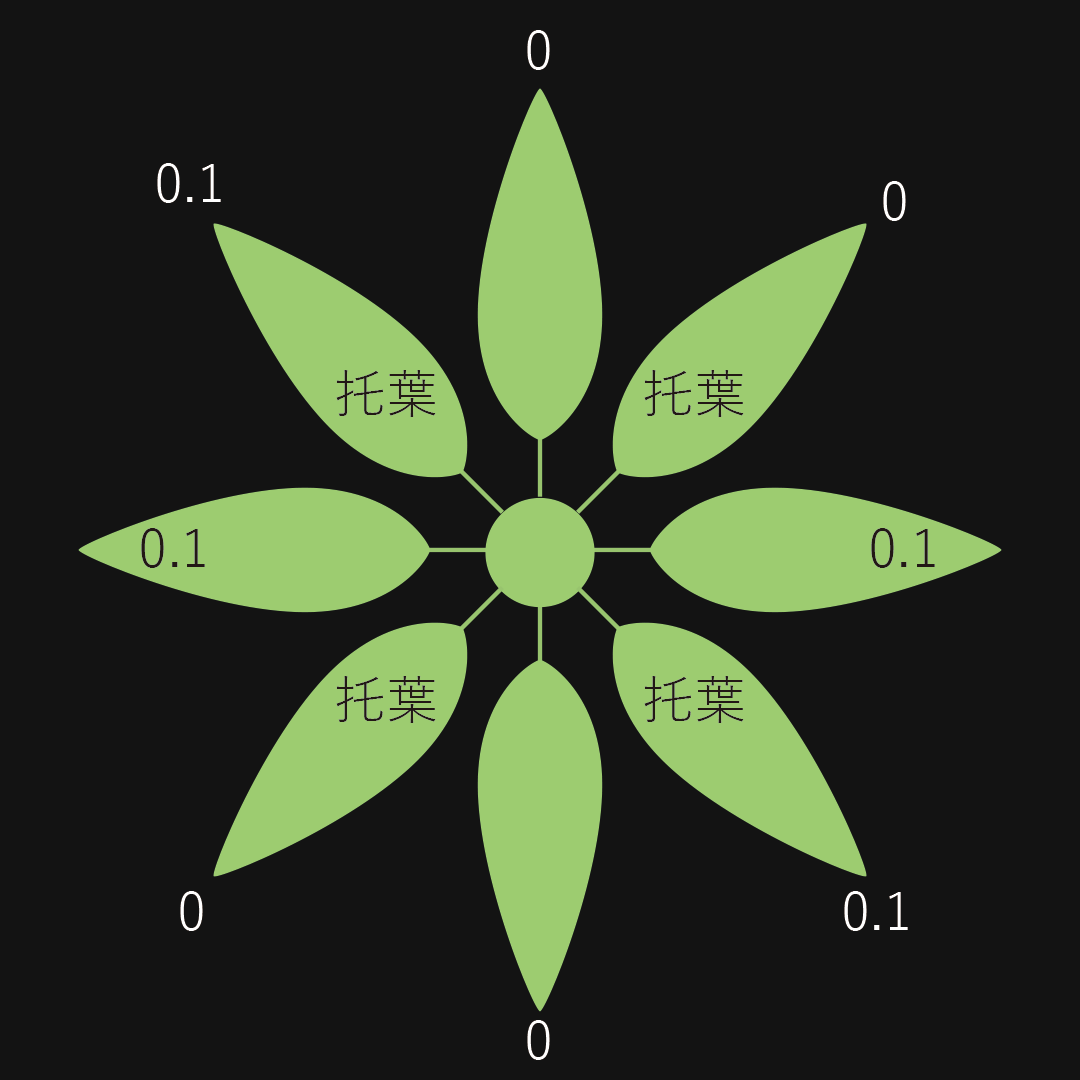 偽輪生 托葉発達等