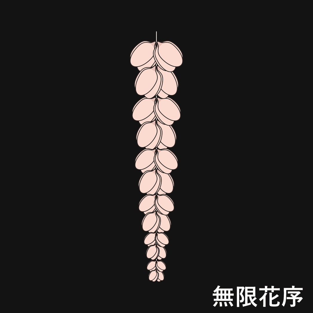 尾状花序（無限花序）