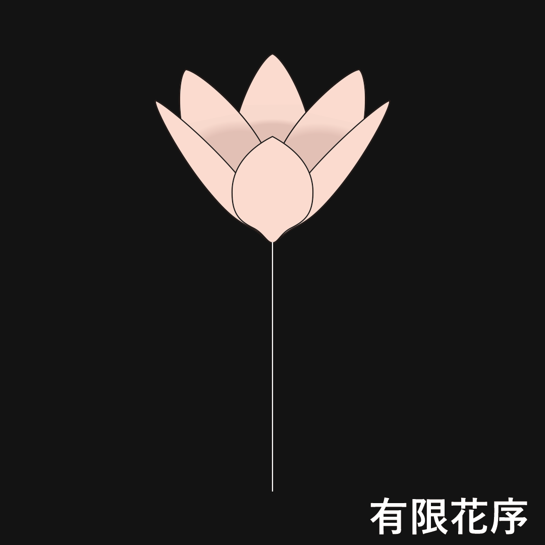 単頂花序（有限花序）