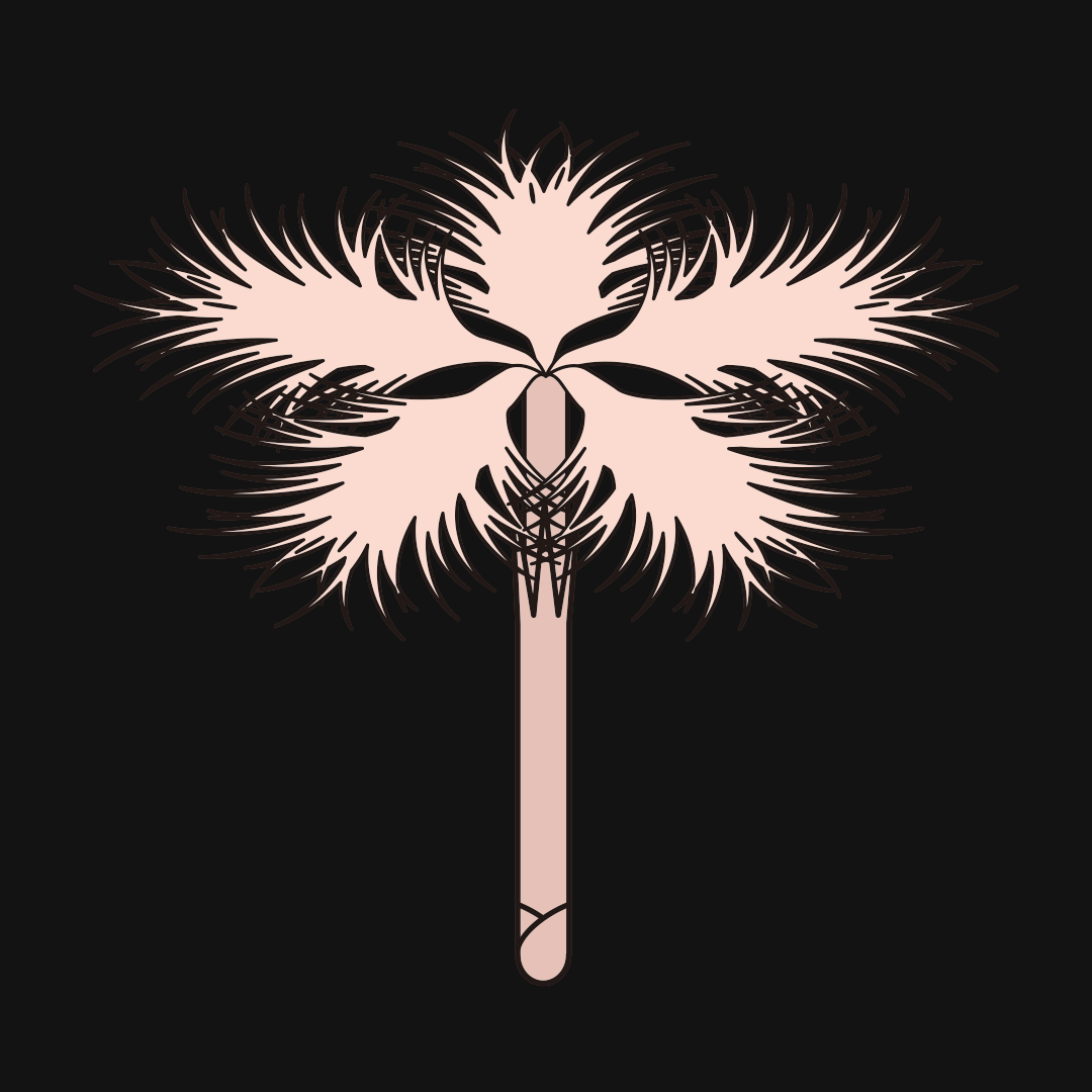 ナデシコ形花冠