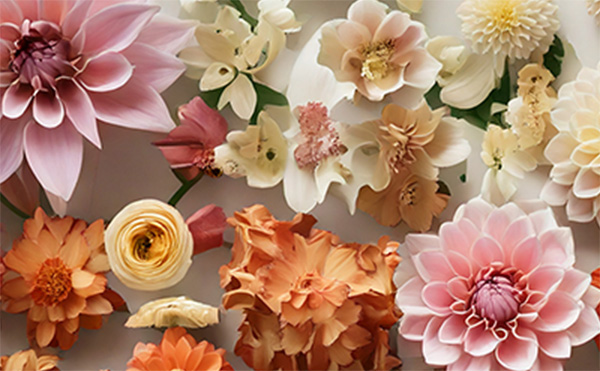 花の形状につい