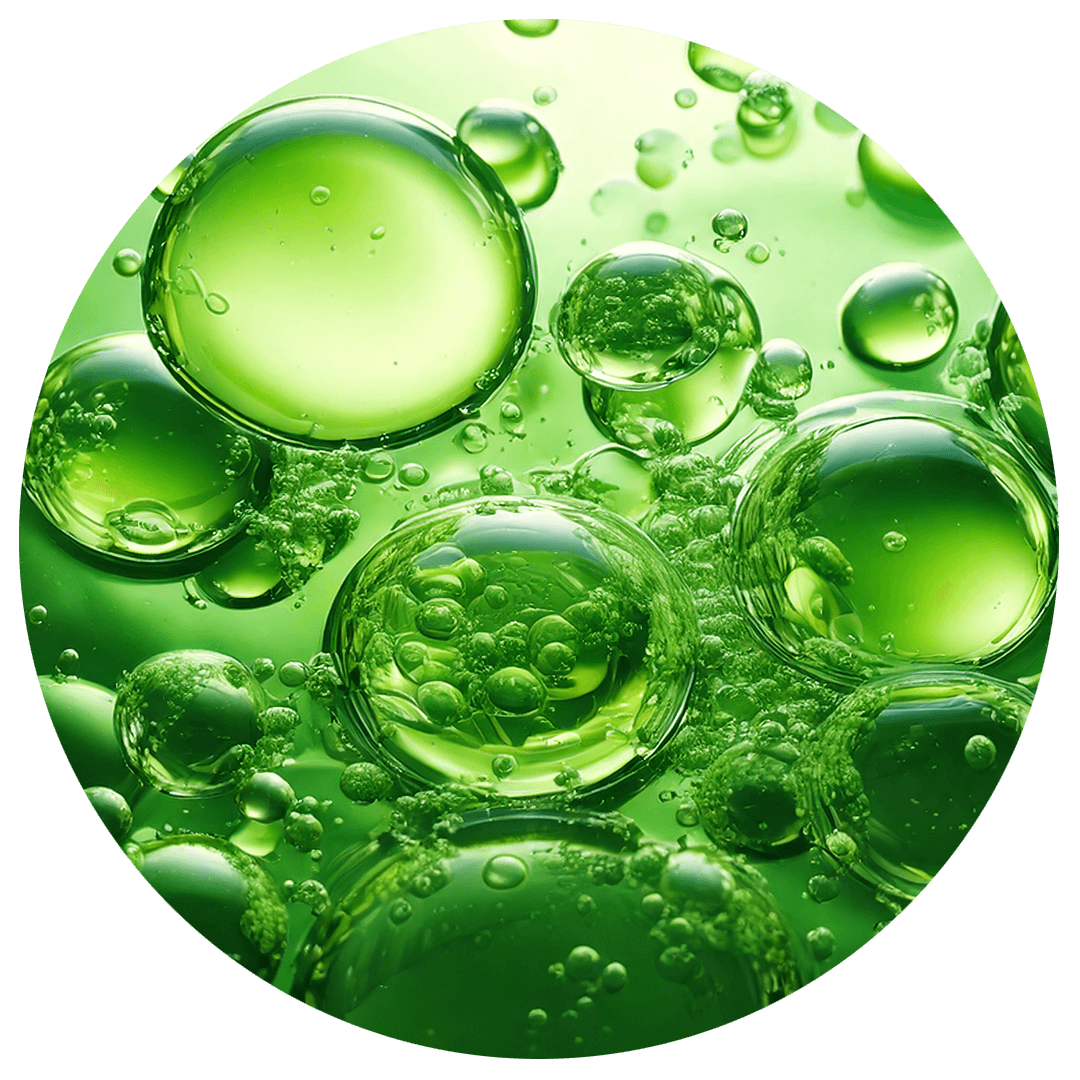 光合成色素の架空イメージ