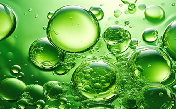 葉が緑に見える理由